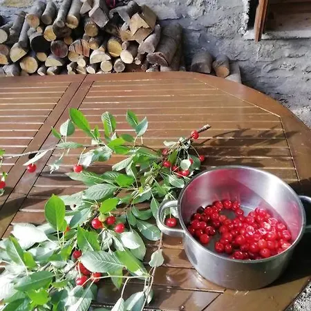 Dorotheas Stone House In The Forest Hébergement de vacances Asprogia