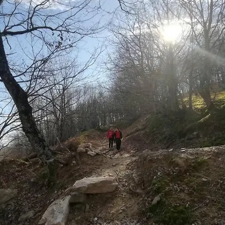 Hébergement de vacances Dorotheas Stone House In The Forest Asprogia
