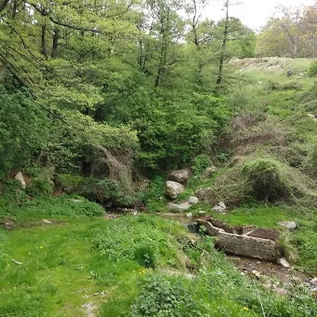 Dorotheas Stone House In The Forest * Asprogia